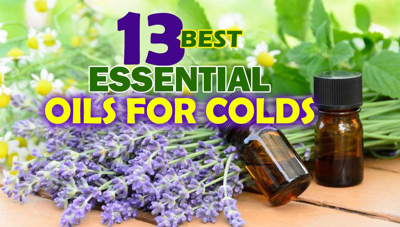 13 Best Essential Oils For Colds